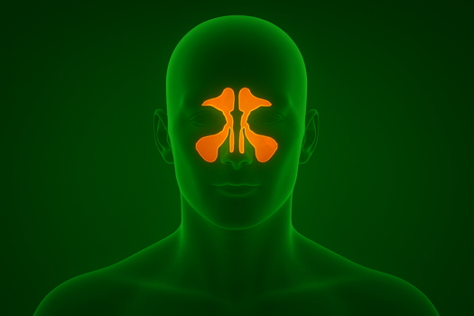 tumore_begnigno_del_naso_green_r